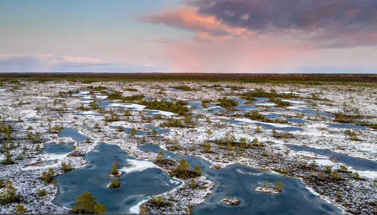 We Mapped The World's Frozen Peatlands And What We Found Was Very Worrying