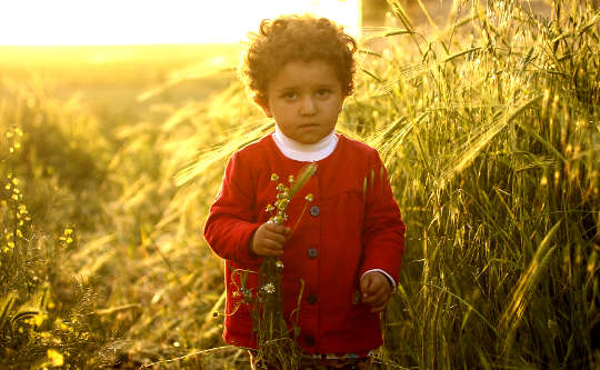 a child standing in a meadow holding wild herb flowers