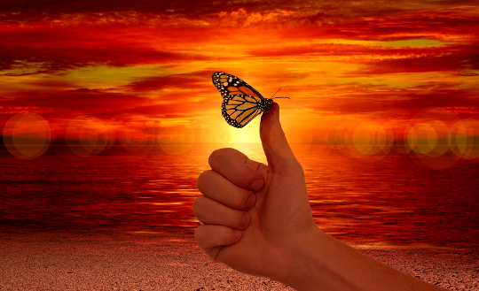 a hand with a butterfly sitting on the thumb in front of a vibrant sky