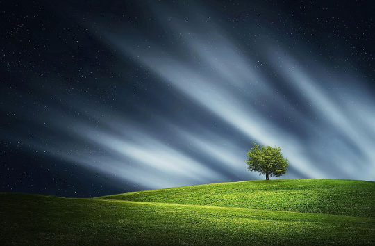 peaceful nature scene with rays of light