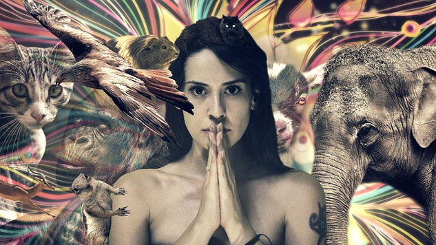 a young woman surrounded by birds and an elephant