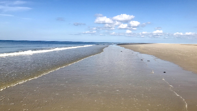 beach on the North Sea