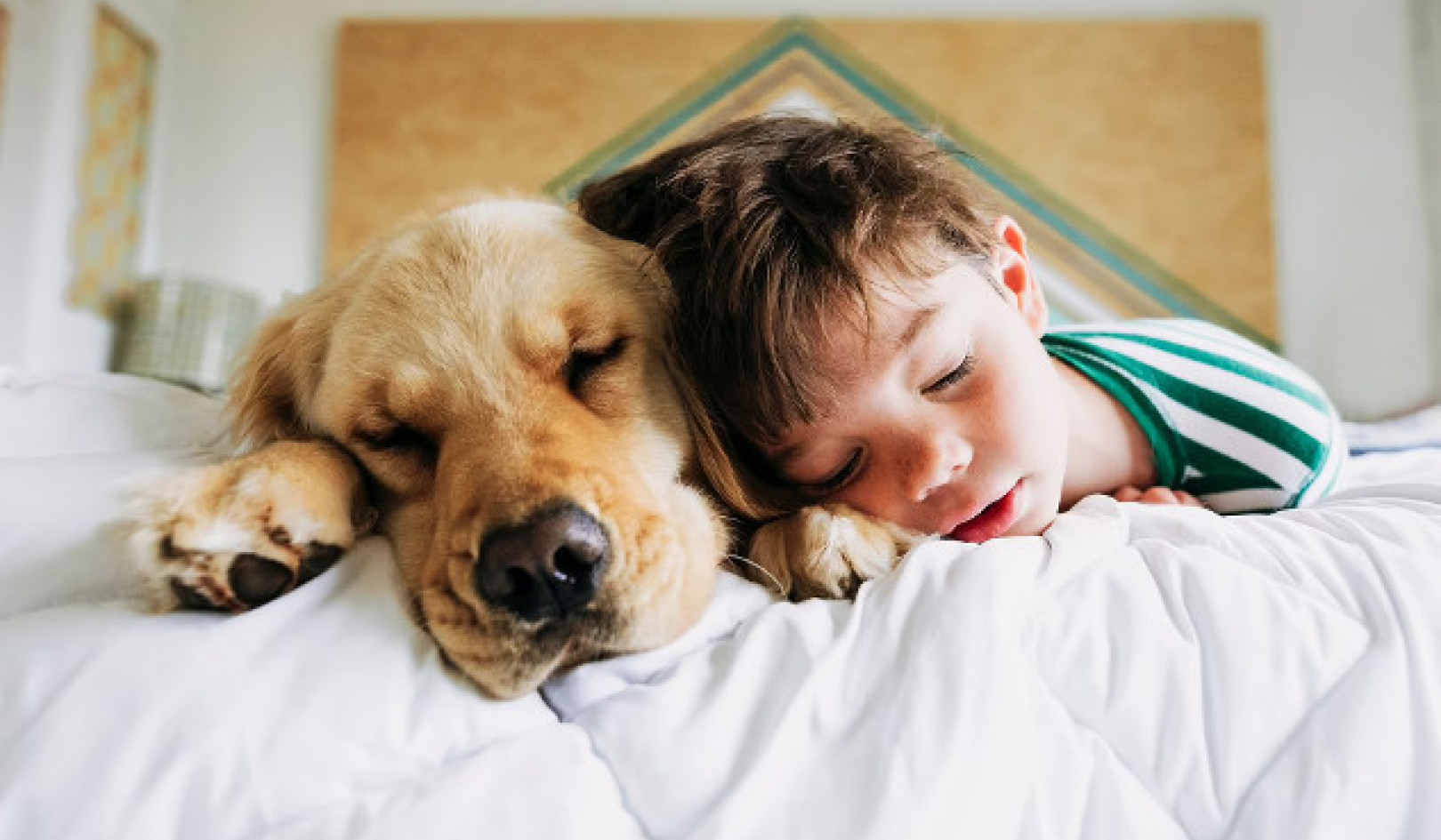 Cozy Companions: The Pros and Cons of Sleeping with Your Pet