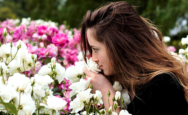 a woman smelling a bush of roses